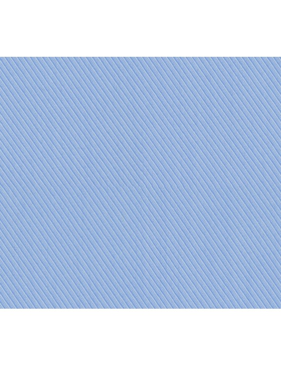 PRESIDENT PLUS D.N. 56001