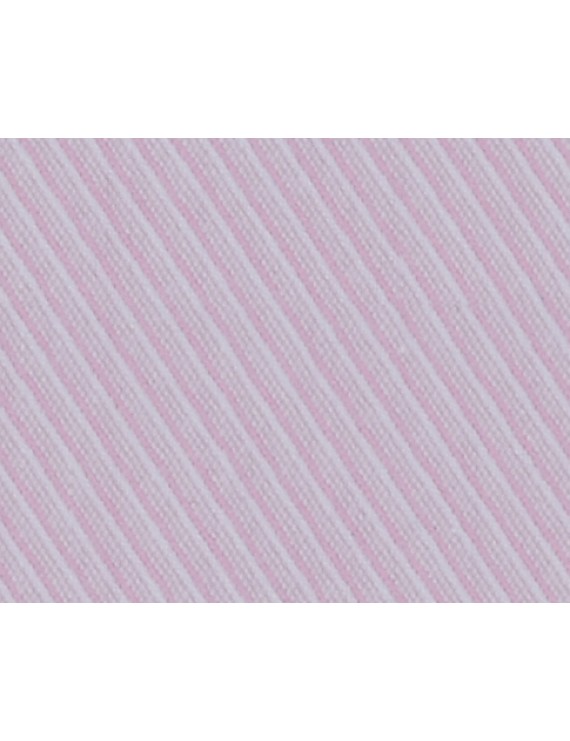 PRESIDENT PLUS D.N. 56010